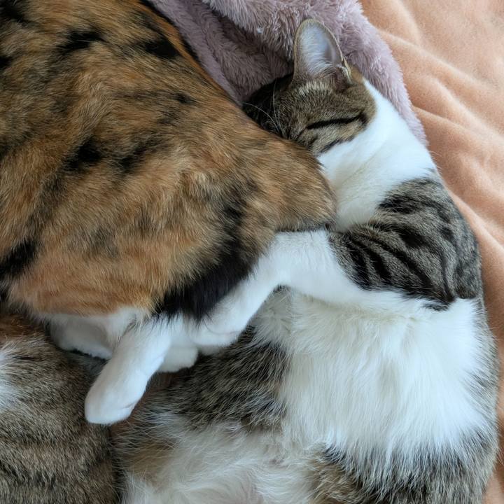 Cf2727c8 94d1 4741 be16 ff46887a026f 1744184109644