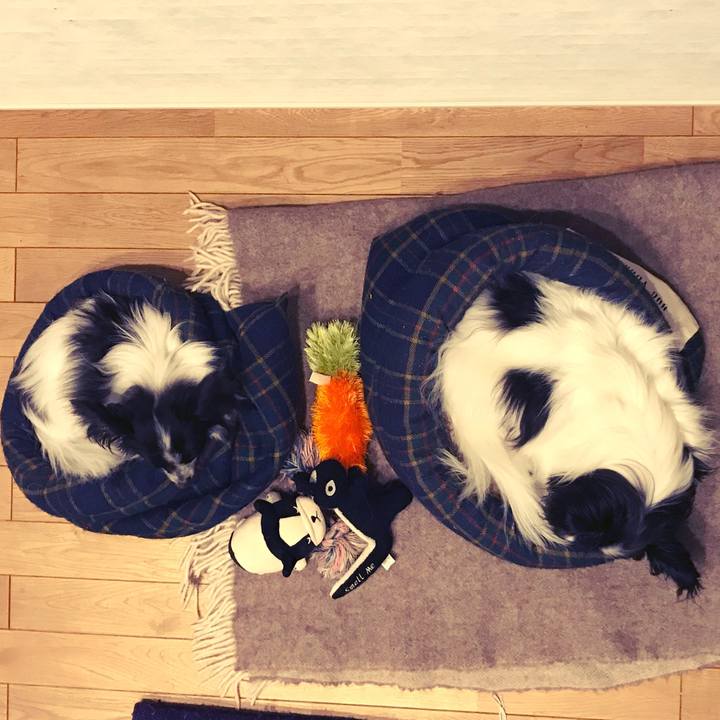 Cf275119 fd33 402f 9d1f 80f876dc2862 1511081233902