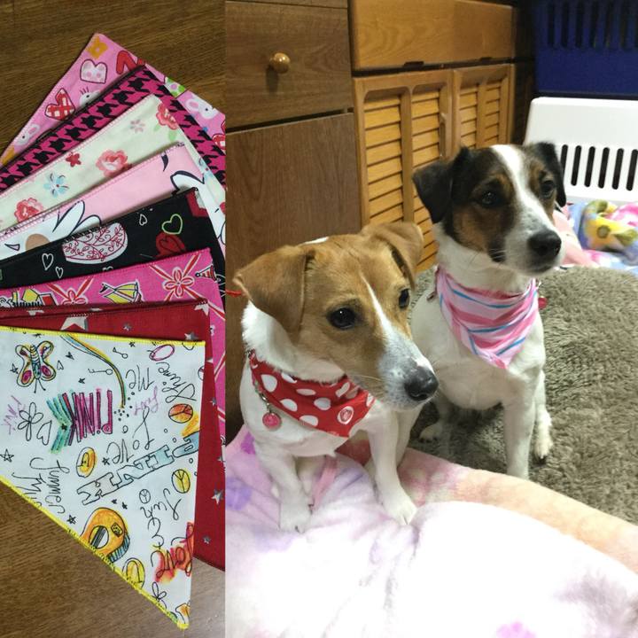 Cf276042 21ea 42e8 a73c 67d4dd24339a 1520591813623