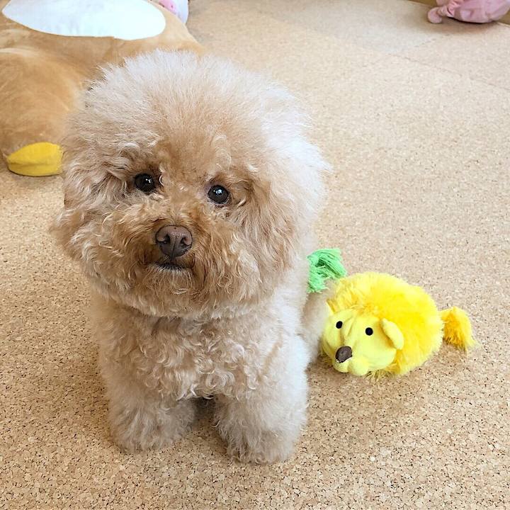 Cf27797c eb4c 45e3 8103 c7982115e4f0 1527252286989