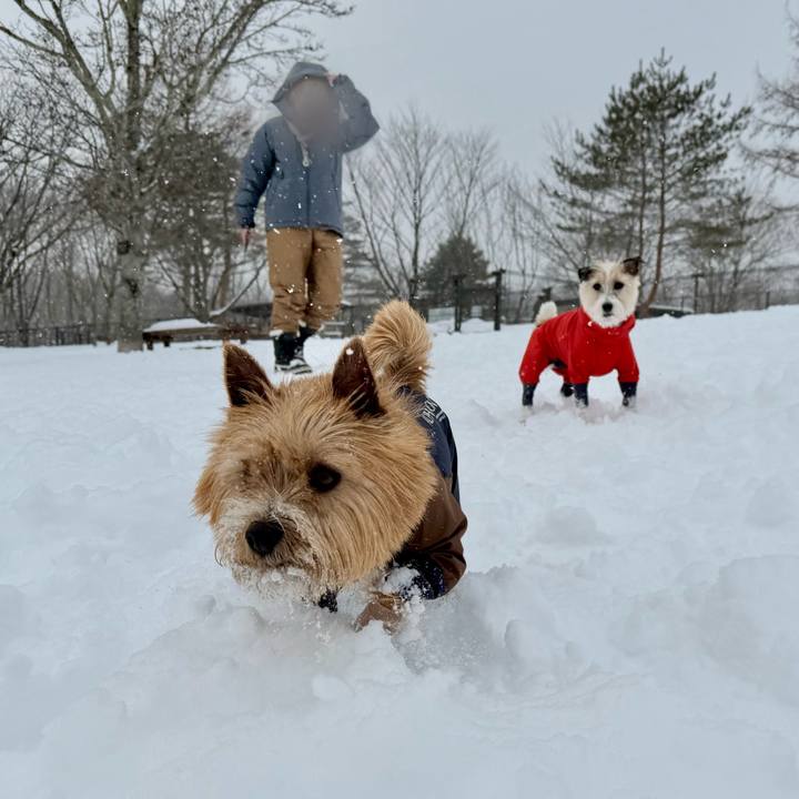 Cf27a015 0a62 4009 802b 17b9b5a6cc99 1769951083341