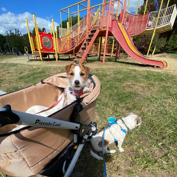 Cf27bb1e f87f 4e66 8020 4394eb2df15f 1697949584788