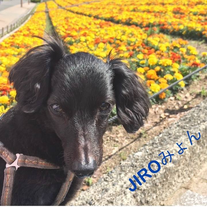 Cf27dc24 49ef 436d 81de 9baa88be20d3 1755337618979