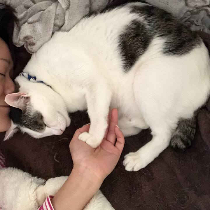 Cf283c55 be95 4777 a7ff 3b7a67107f9b 1588508094677