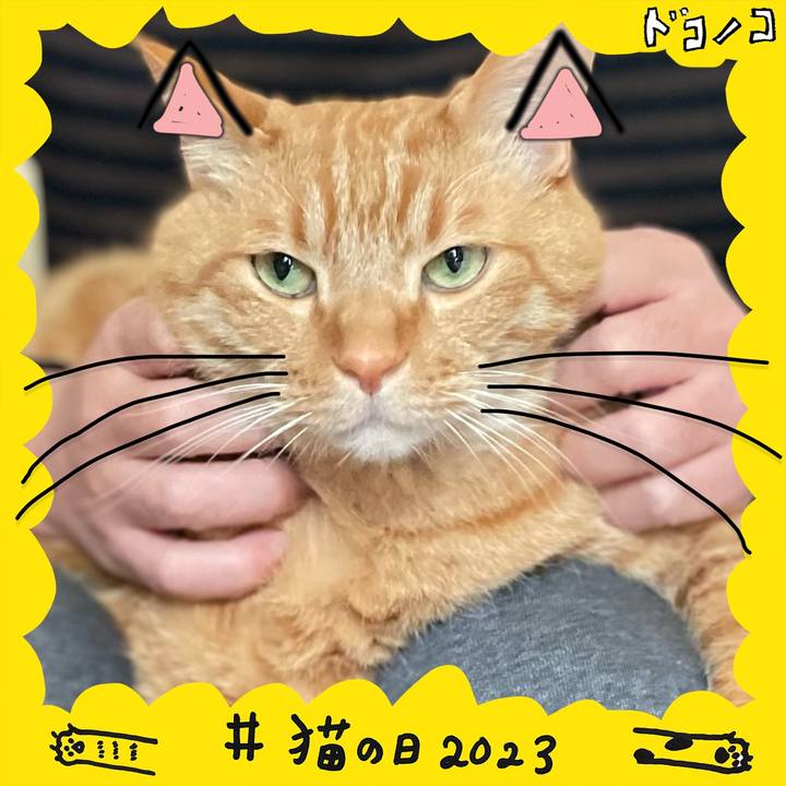 Cf2842b6 8c88 4ea1 8e5a ef67856240d8 1677038078990