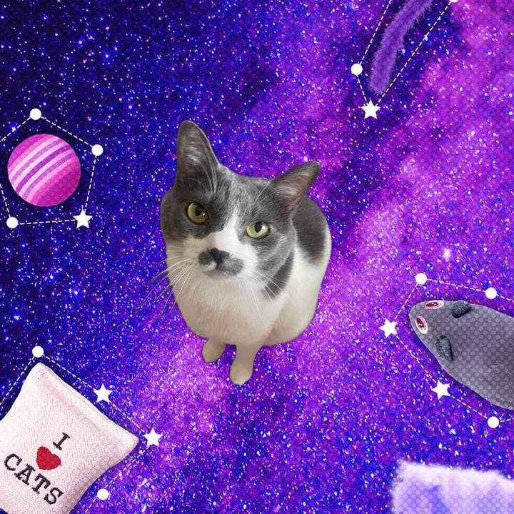 Cf28a0c4 174e 4ff8 a9f4 5013679b0646 1755593177053