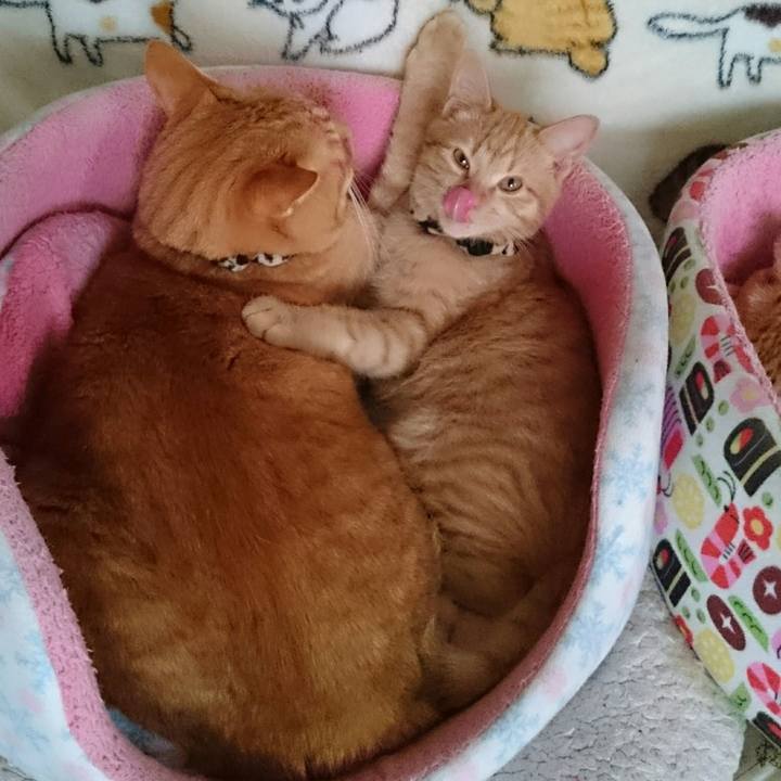 Cf28bddf 59d2 4bf1 9b51 1cf82612cb8f 1544134754023