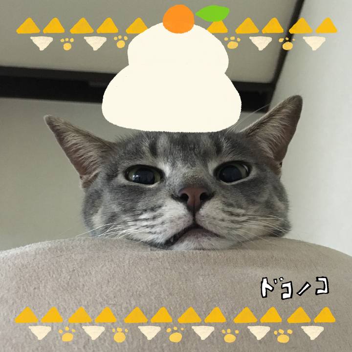 Cf28d465 2e56 4a78 94fc 8c673fefd0e6 1704279830785