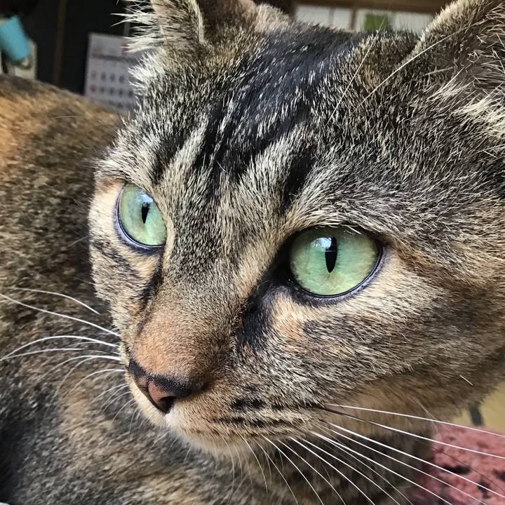 Cf28deab 1f87 45c7 89cb 80a428392e4b 1656938832272