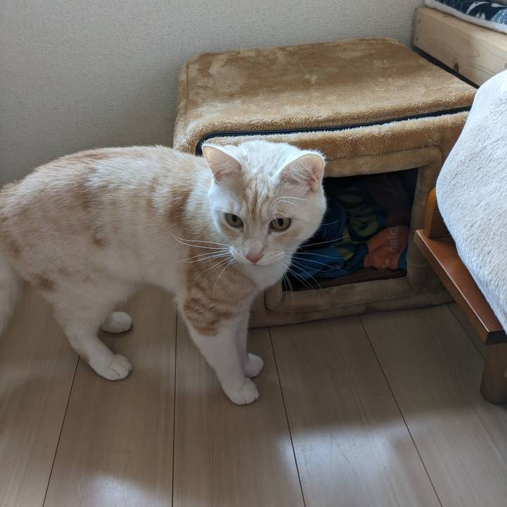 Cf28fc69 af96 4cc7 8f22 28be3f6daa69 1704592176802