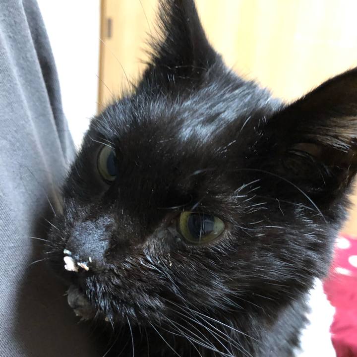 Cf292fd9 bdff 4482 b124 514a23093fb9 1646990288436