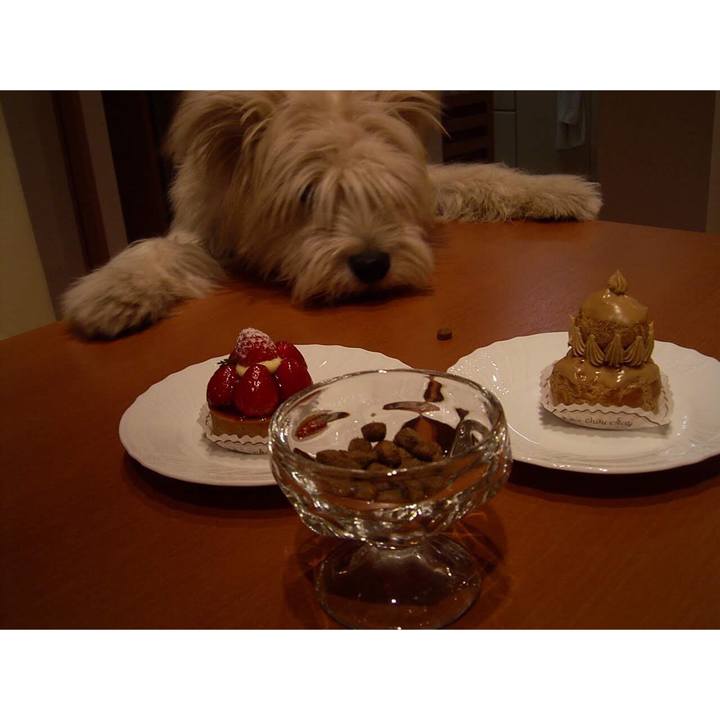 Cf297794 a4d3 41ab b962 6e6461ddb262 1535775828868