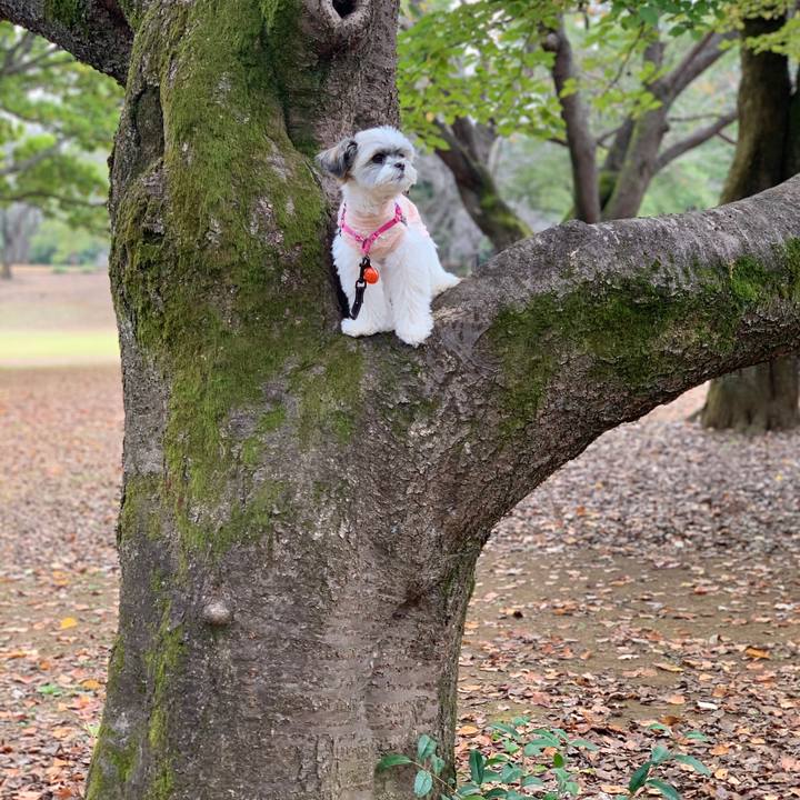 Cf29a1e1 87f2 4b8a 9b64 d2cc7ee3c5fc 1604286087530