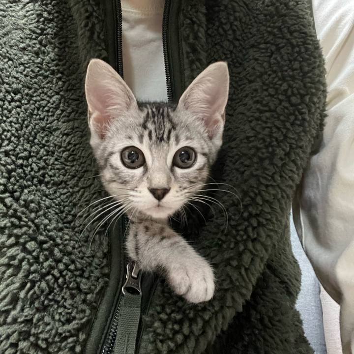 Cf29ba85 b22e 4d6e aede 307c2574a033 1703579058202