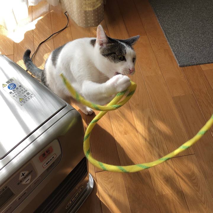 Cf2a0dd1 d347 4275 b35e d0107748bebe 1609846782697