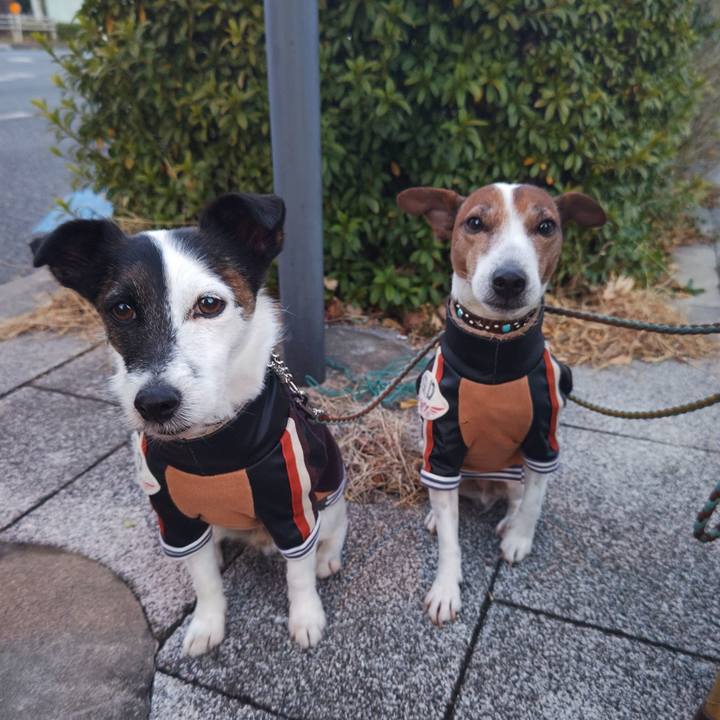 Cf2a5bd0 ce02 43db b52e 2bd7c205ca68 1737668821328