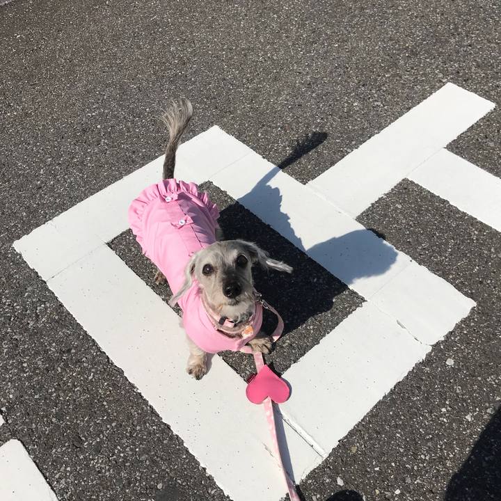 Cf2a73ea 2533 451e 9a96 418a6ecea2f9 1509509384770