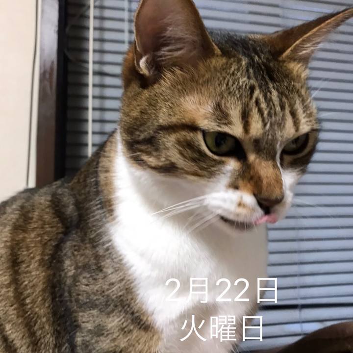 Cf2a8448 44f8 4da1 989b ad8ee70752af 1645472721574