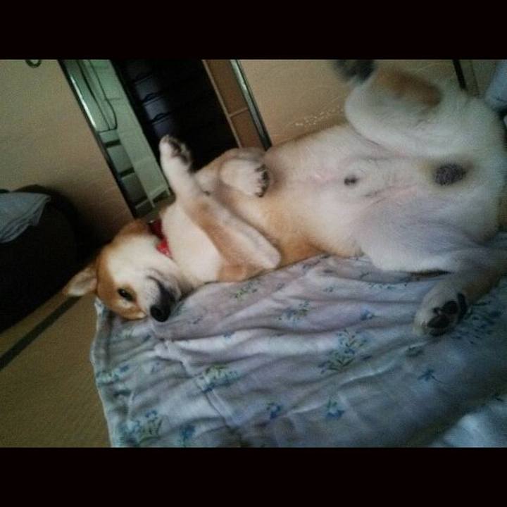 Cf2ab0d9 33a6 4d91 ac00 452e46b9632a 1507731467221