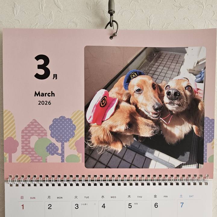 Cf2aee18 65cc 4637 b2e2 19d3ca0b9d9d 1772850202218