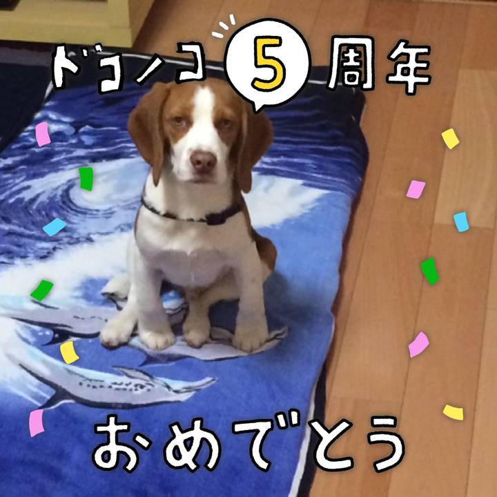 Cf2af7e8 2d85 4f6f a582 3a6e6d3375fe 1623026197994