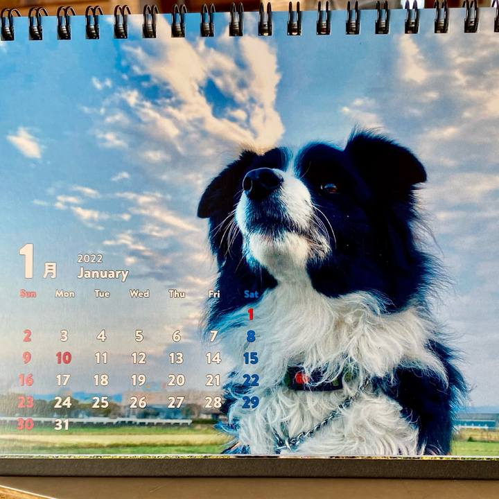 Cf2afd32 a0d8 45d4 8583 ec0b192e9f65 1640995104871