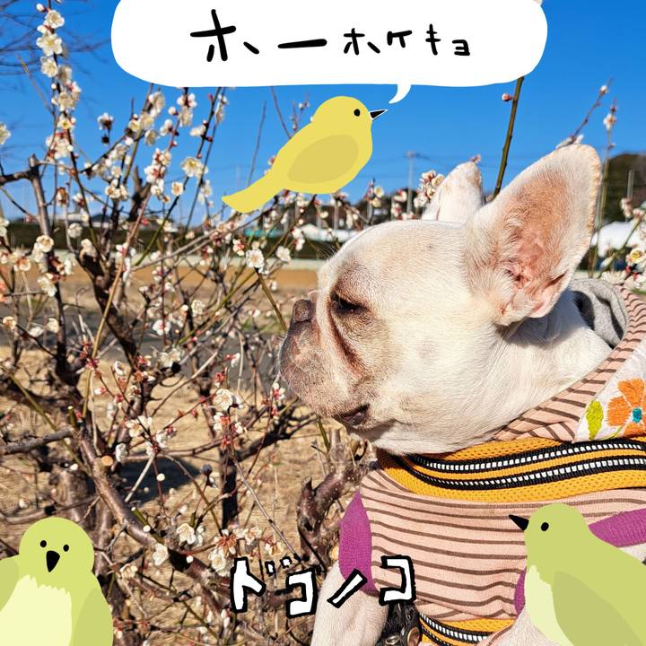 Cf2b2d2a fe5b 461e 8186 730eec1c95f5 1711017206405