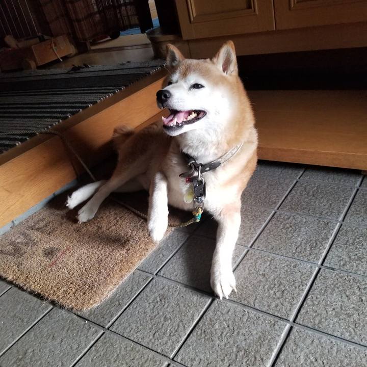 Cf2b2d81 3de4 4441 9df5 9086c8e217a4 1694416197964