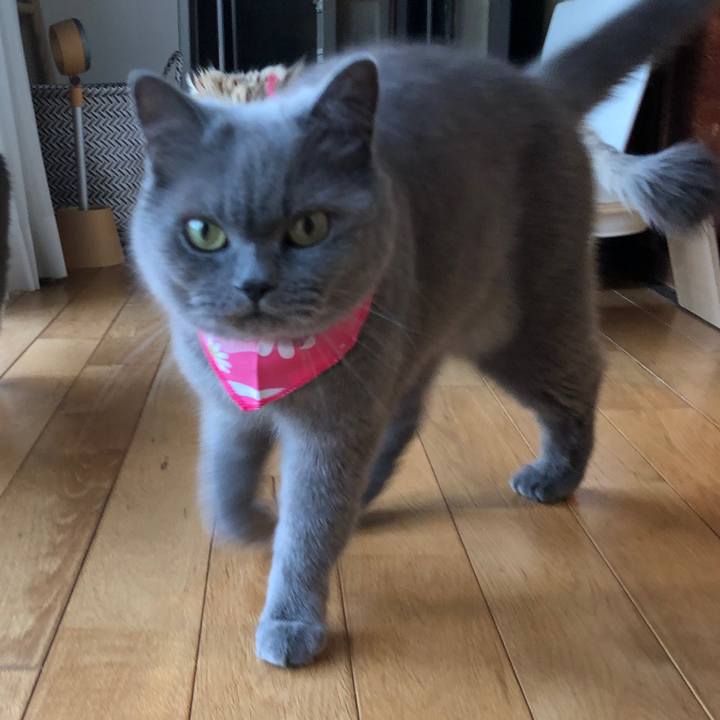 Cf2b42d4 f935 4f90 881e 692d4d1b9cca 1595213313132