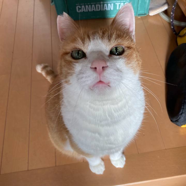 Cf2b462b 2ec0 4b58 8332 a4280ec7c527 1761261598804