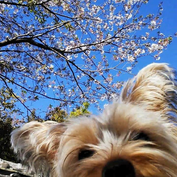 Cf2b55e1 e3d7 4e0e 9819 3500a59081c6 1555331850498