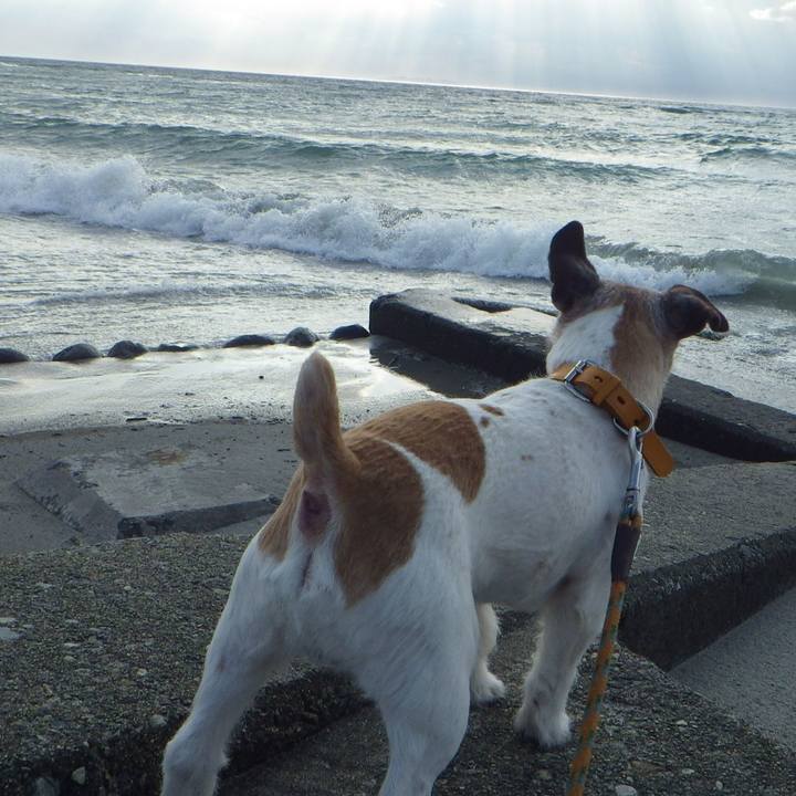 Cf2b5798 ce93 4629 a229 2fa57fc44acc 1595847990490