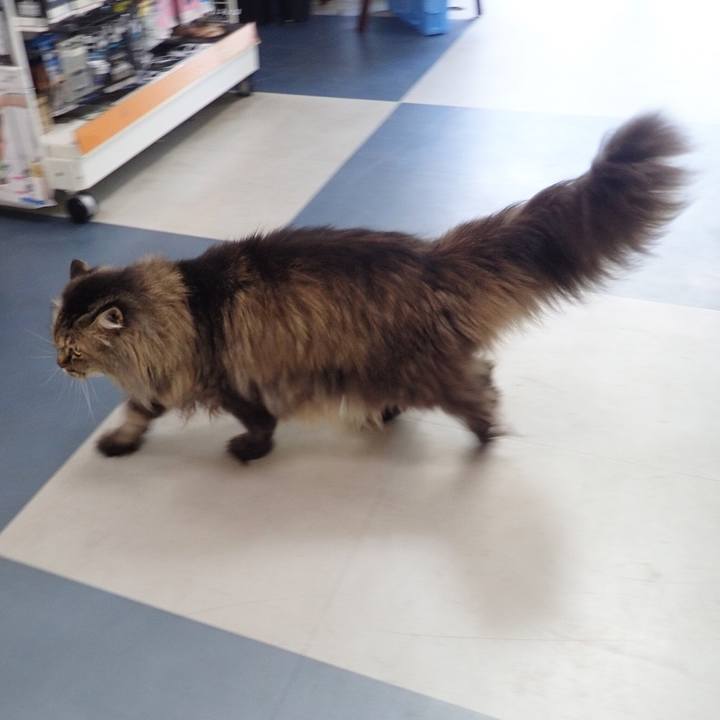 Cf2b6f39 459f 4726 867b 40d0eb78f17c 1535286447382