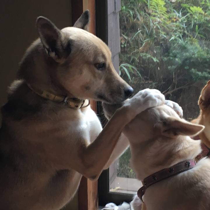 Cf2b8e21 f0cf 4f48 a994 2d7257b1a719 1511431663076