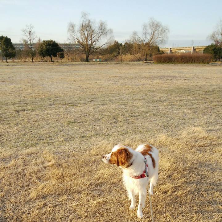 Cf2baae2 bd21 4ddf b5c7 6b355ac3d1d6 1550215165603