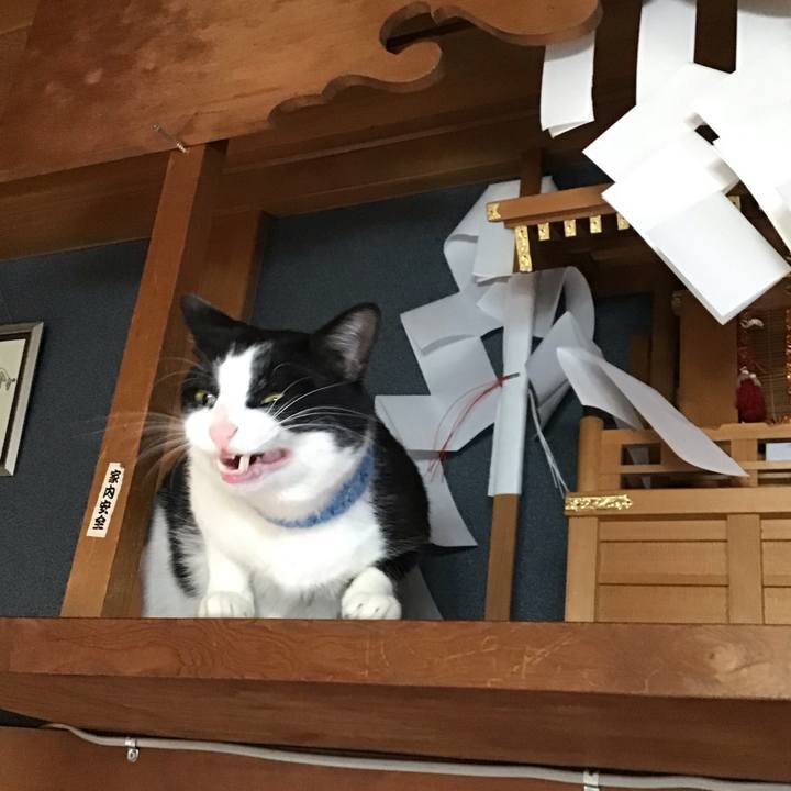 Cf2bcb20 e93b 4732 be5a 8521033e59f9 1743064974401