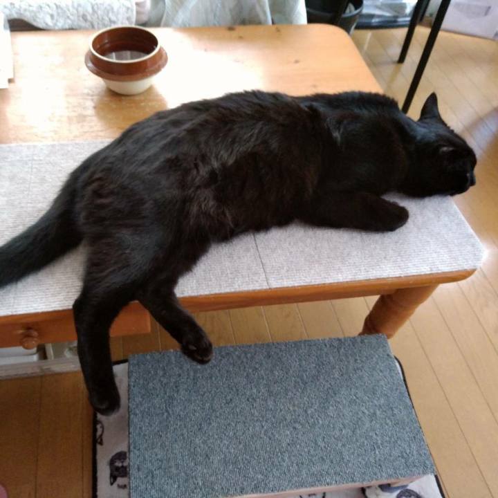 Cf2bf745 9508 41a3 be3d e82592611340 1592105241770