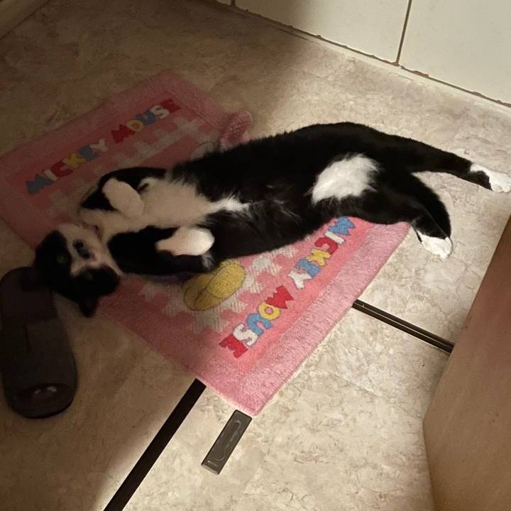 Cf2c0a7d cd02 4c42 98fa b392ba982252 1651109160513