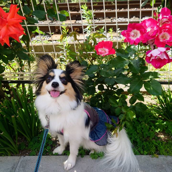 Cf2c3b31 8a7b 4287 915c 9ef519168277 1683245915567