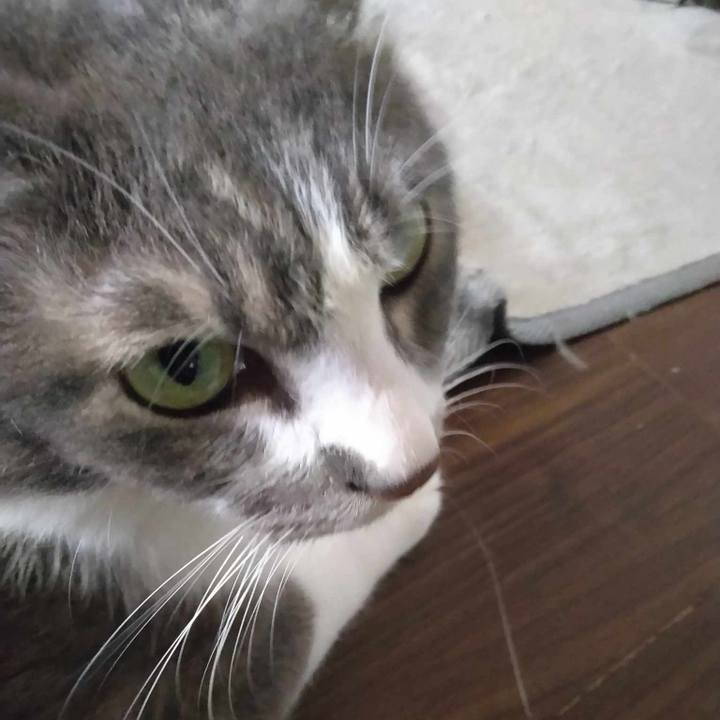 Cf2cbaa6 4111 4ccd a903 f42885770fb3 1692829927920