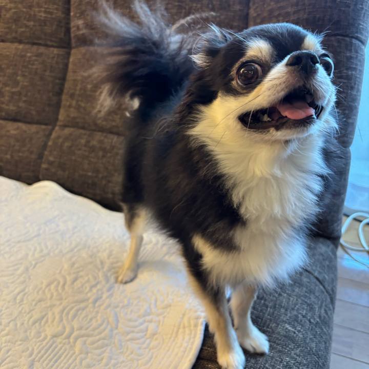 Cf2cbd2f 791f 4594 b963 8ffbc308b605 1760892130608