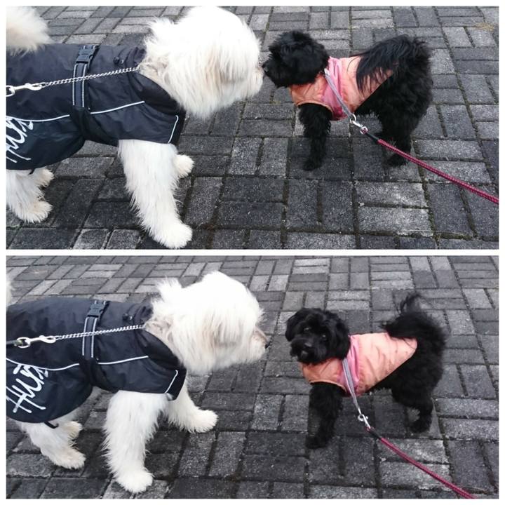 Cf2cccd5 2278 4b82 ab06 cd724177ef62 1583922734311