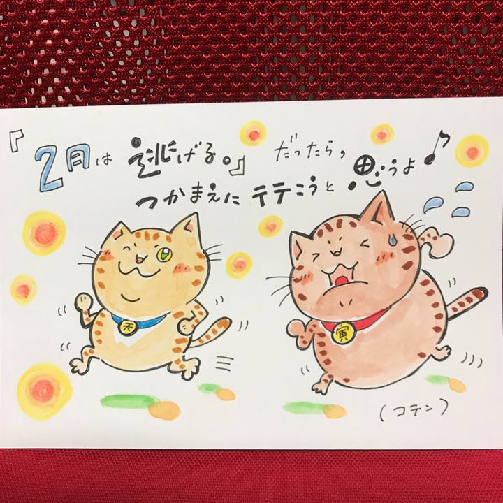 Cf2d0a5d c027 4888 b8f2 95eec85ef411 1549654694783