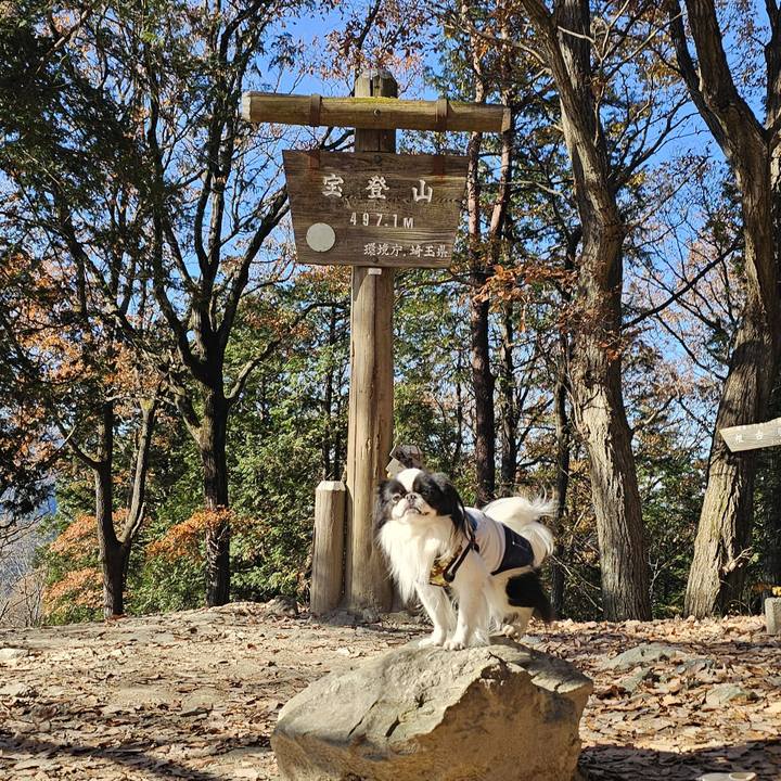 Cf2d4291 babd 4244 adbd 737d2e3dba7c 1733198315410