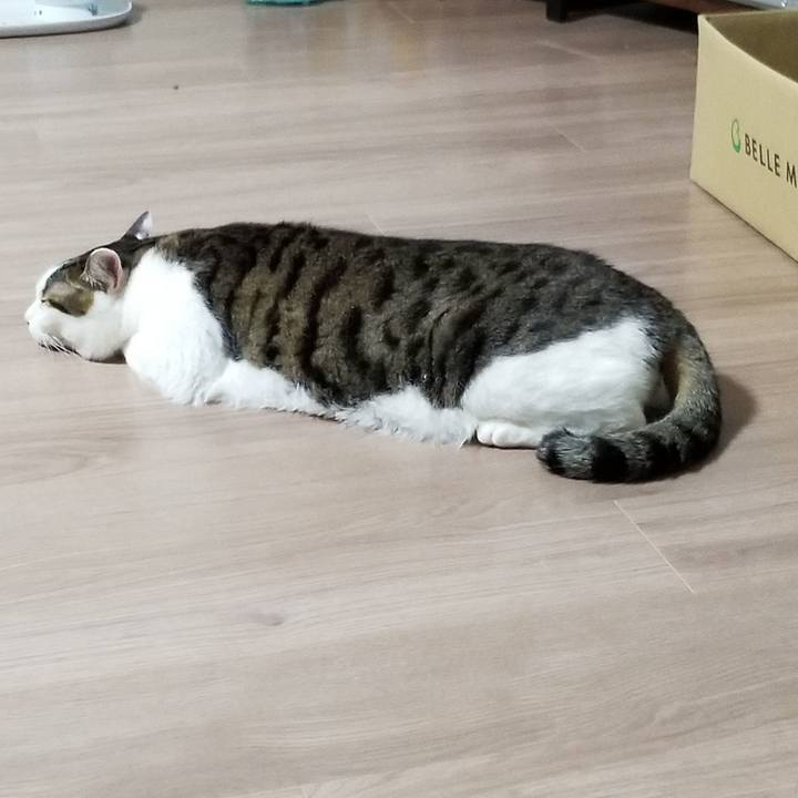 Cf2d6989 115d 4114 a82f 6d34a5142497 1616324782992