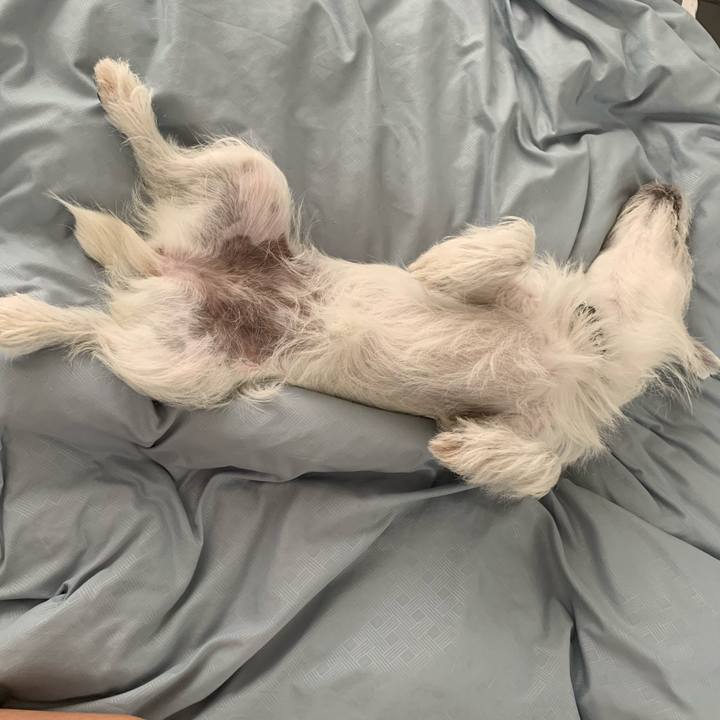 Cf2dd28c 62db 4e93 8887 79557e44b452 1569301243107