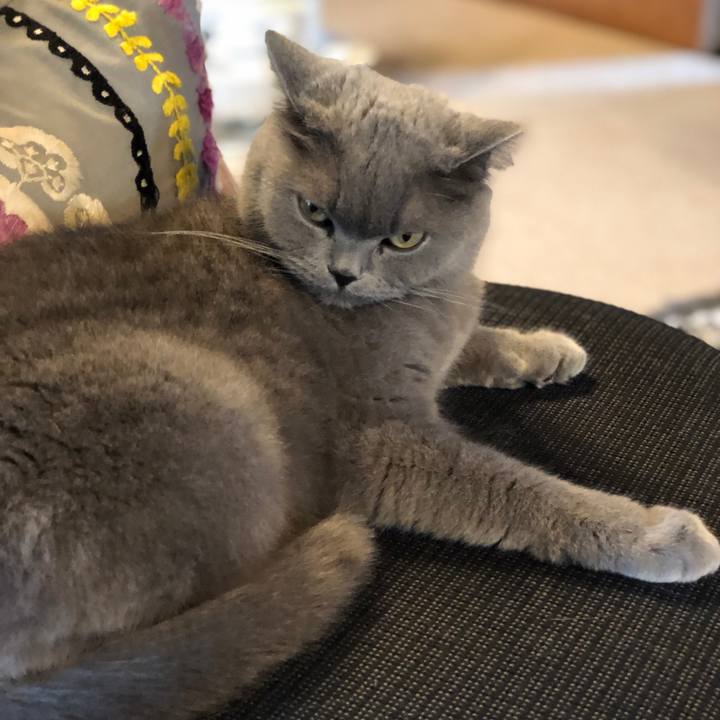 Cf2ddb4b 6df3 4e86 b593 ca68e9a204af 1586856038818