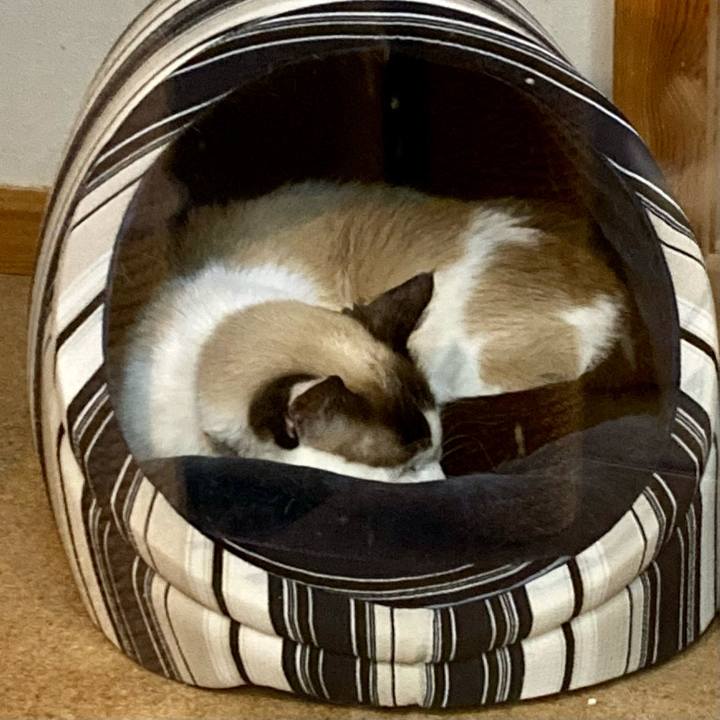 Cf2ddffa 21d4 41f4 aea1 13b127452623 1677243309389