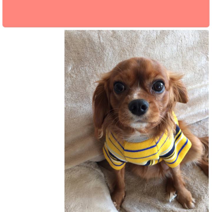 Cf2de914 9e24 4e51 9685 2d2c46b4c908 1540646486024