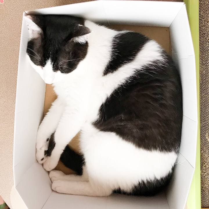 Cf2df235 7649 4371 a2df 590d880a3e28 1531616451848